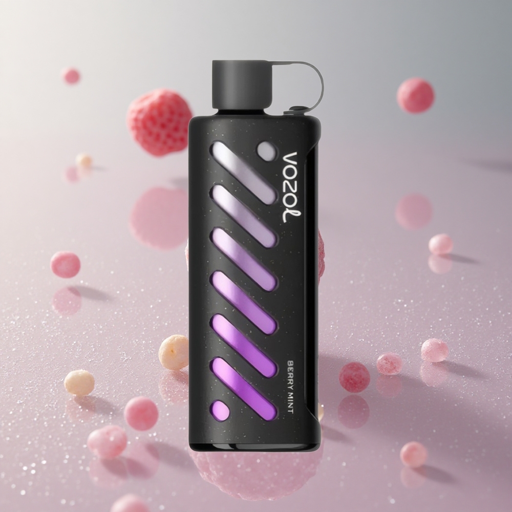 VOZOL Gear Shisha 25000 Puffs מנטה פירות יער 1000mAh